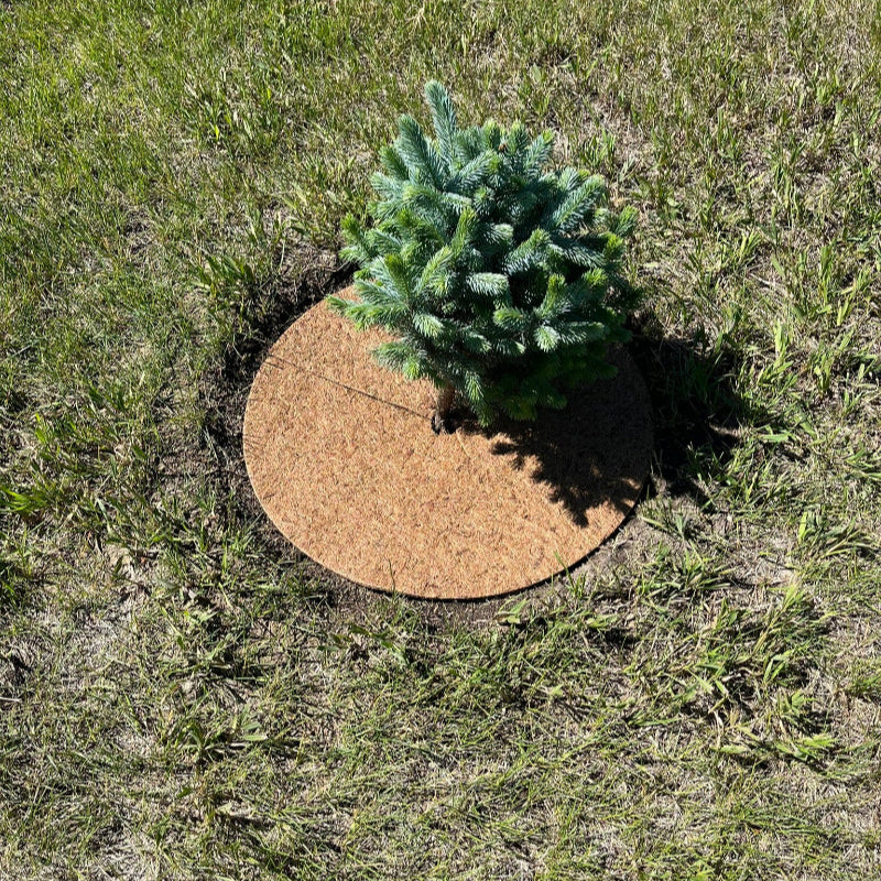 Coco disc for controlling weeds and maintaining soil moisture available at Flying Creek Trees in Regina