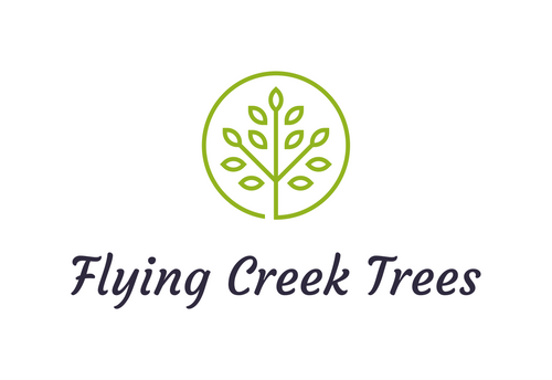 Flying Creek Trees