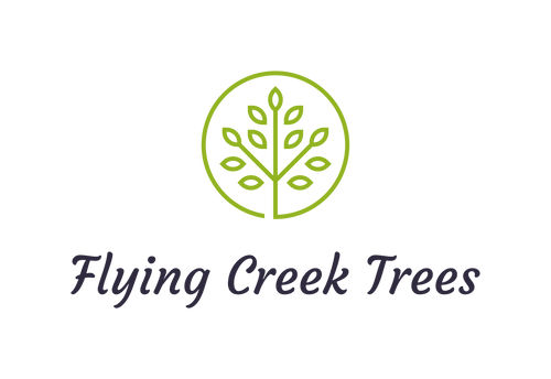 Flying Creek Trees